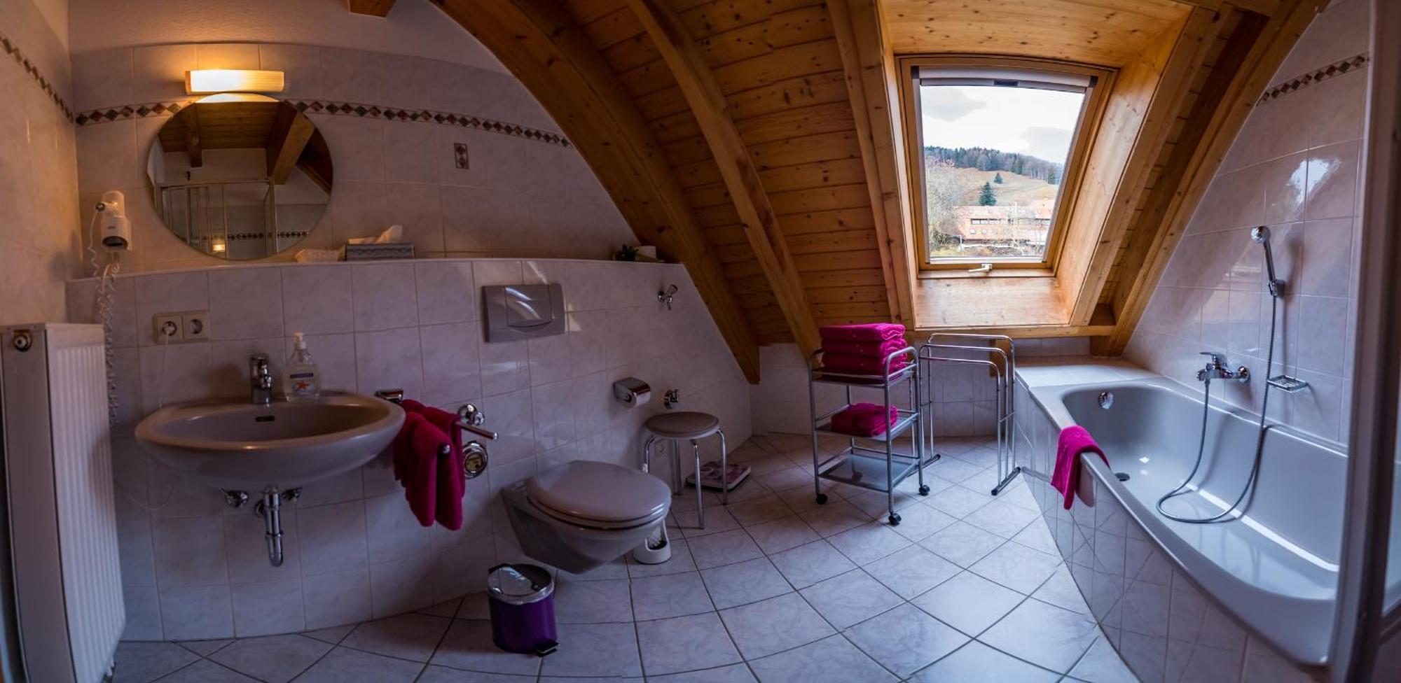 Schwarzwaldliebe Apartment Frohnd Luaran gambar