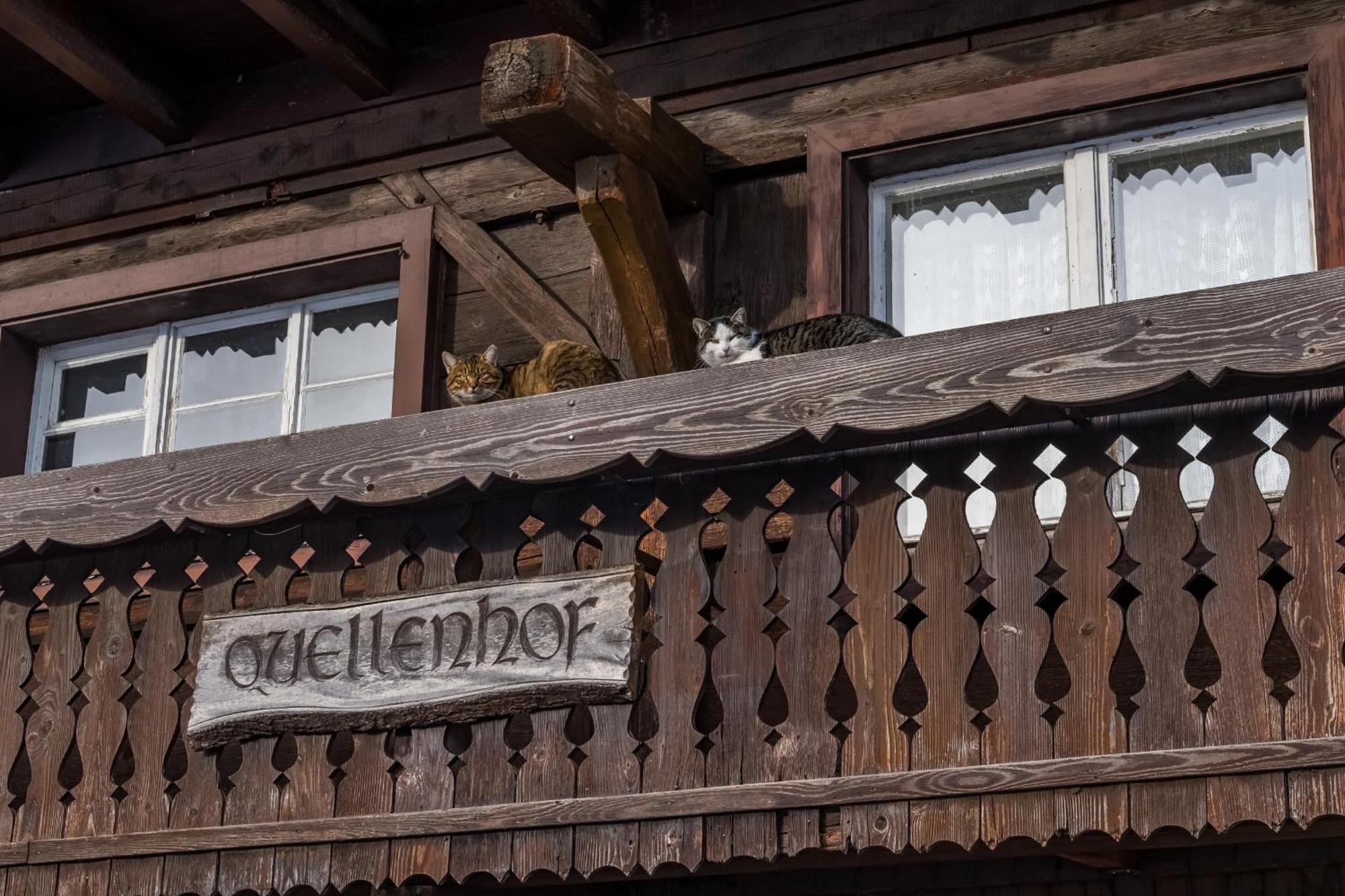 Schwarzwaldliebe Apartment Frohnd Luaran gambar