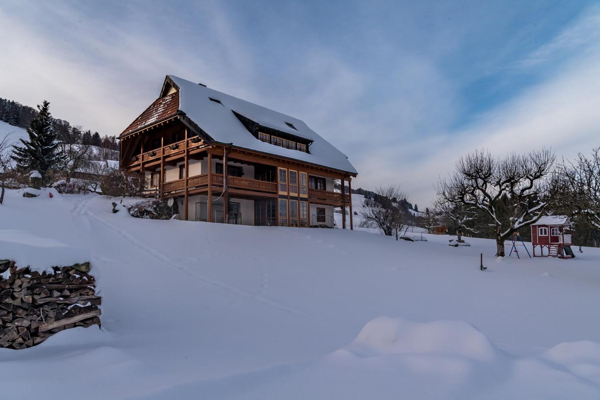 Schwarzwaldliebe Apartment Frohnd Luaran gambar