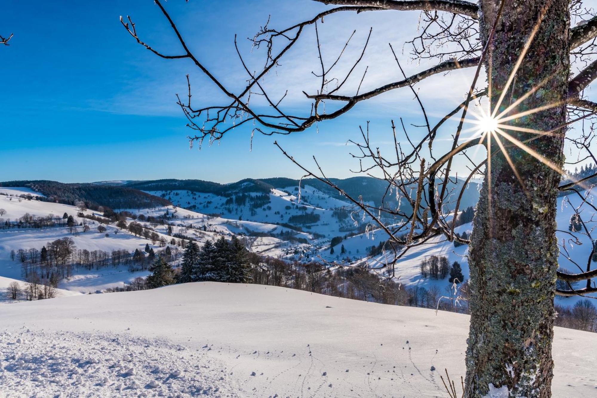Schwarzwaldliebe Apartment Frohnd Luaran gambar
