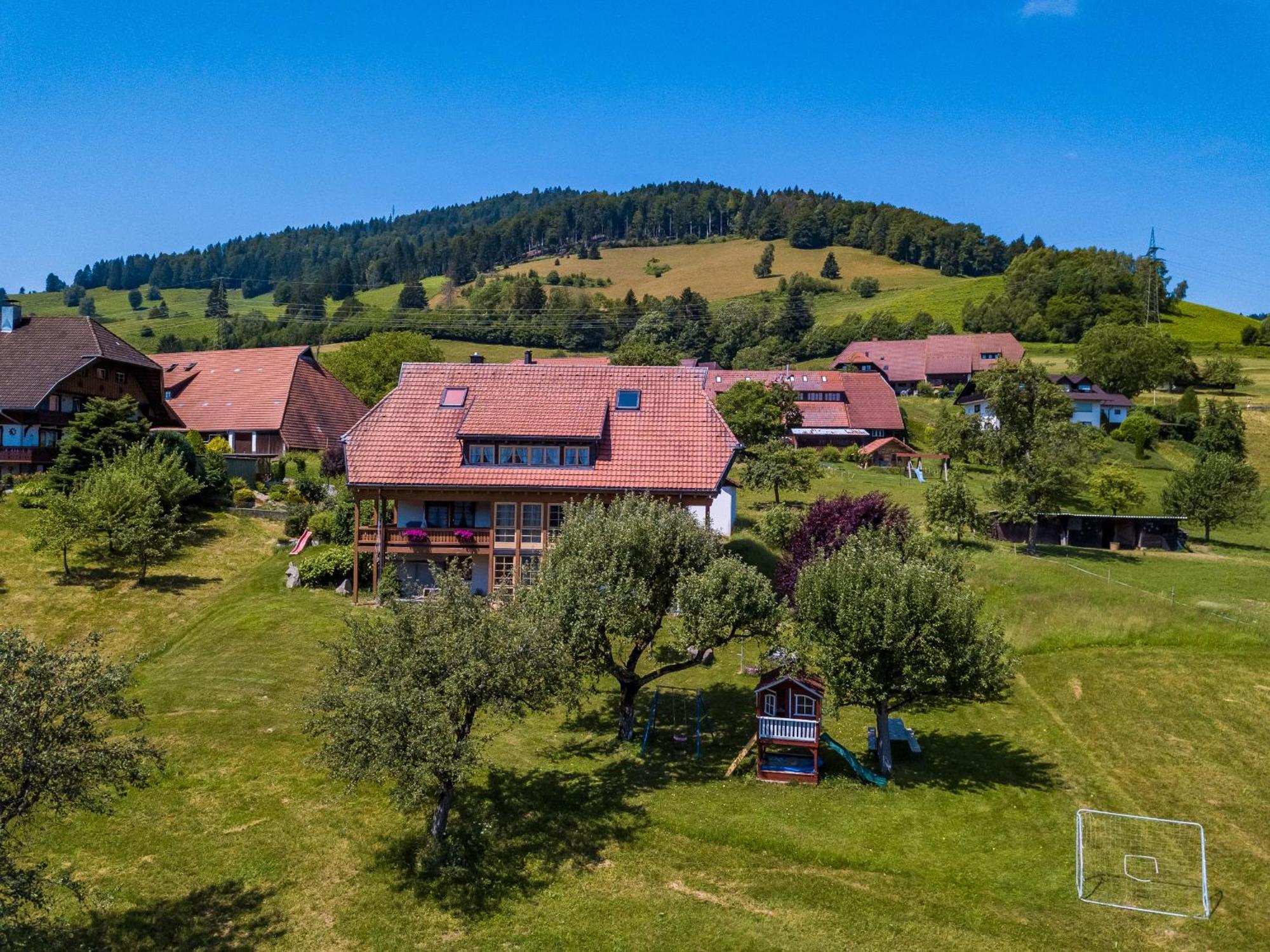 Schwarzwaldliebe Apartment Frohnd Luaran gambar
